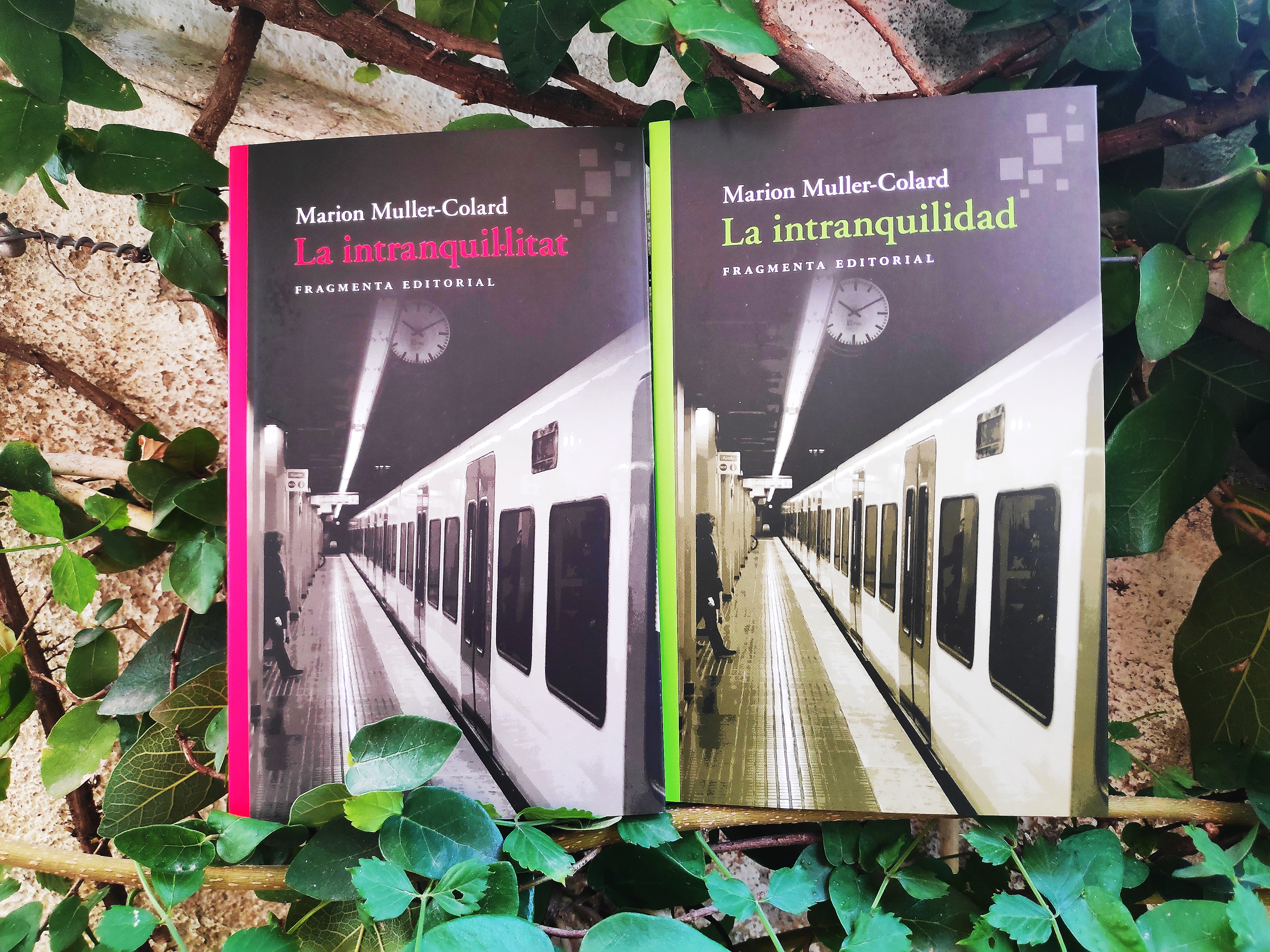 La intranquil·litat / La intranquilidad