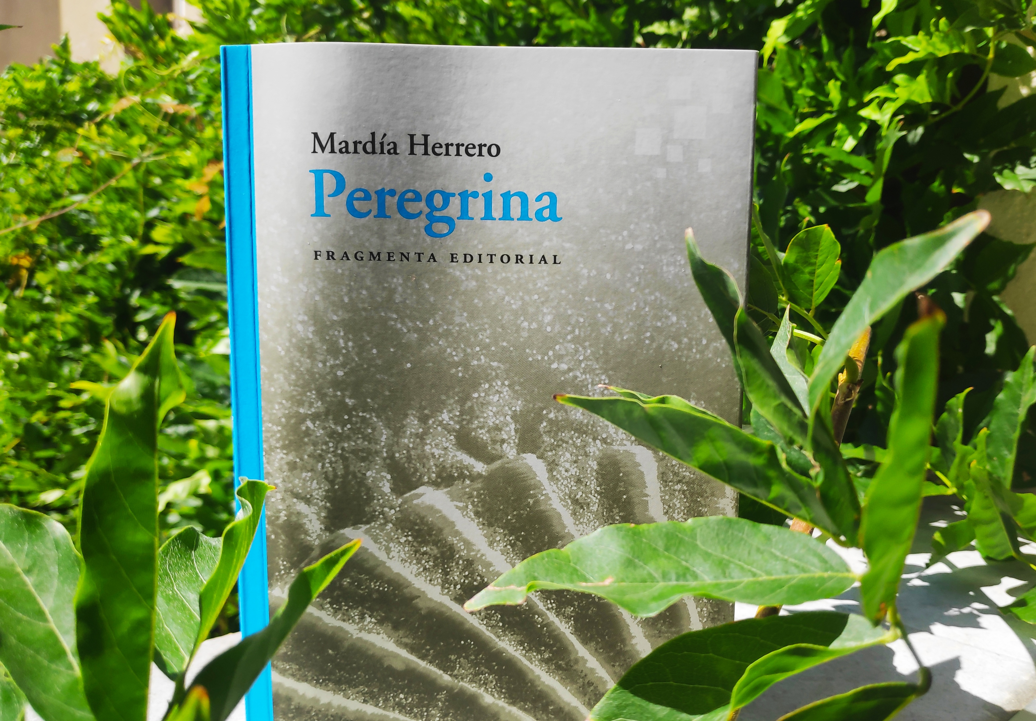 Peregrina - web